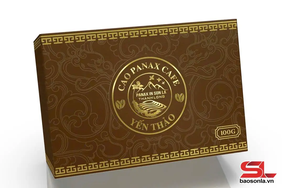 Sâm Ngọc Linh – biến “quốc bảo” thành “sinh kế”