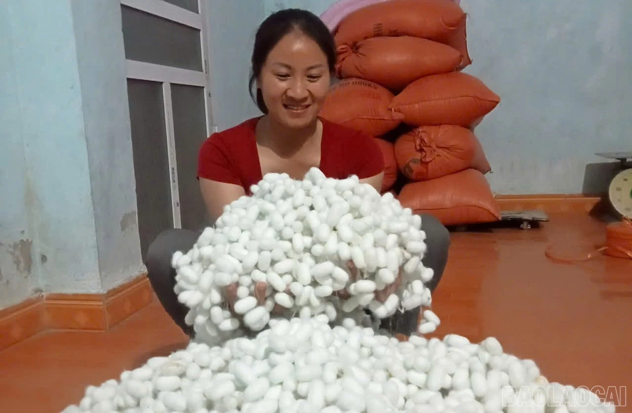 Sức mạnh từ các “hạt nhân” liên kết