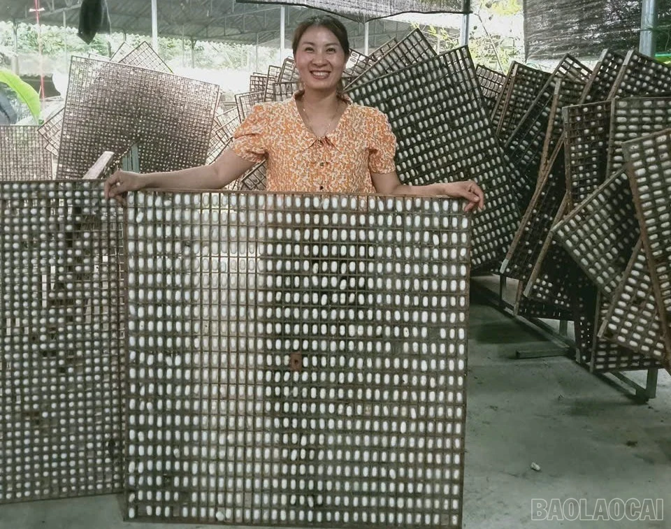 Sức mạnh từ các “hạt nhân” liên kết