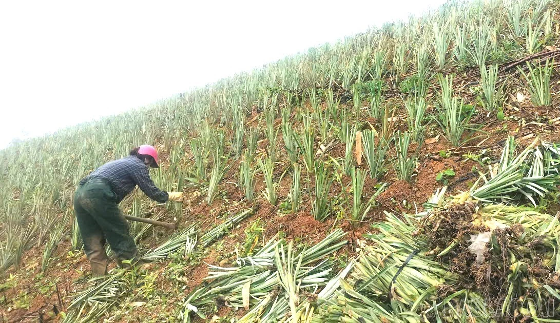 Sức mạnh từ các “hạt nhân” liên kết