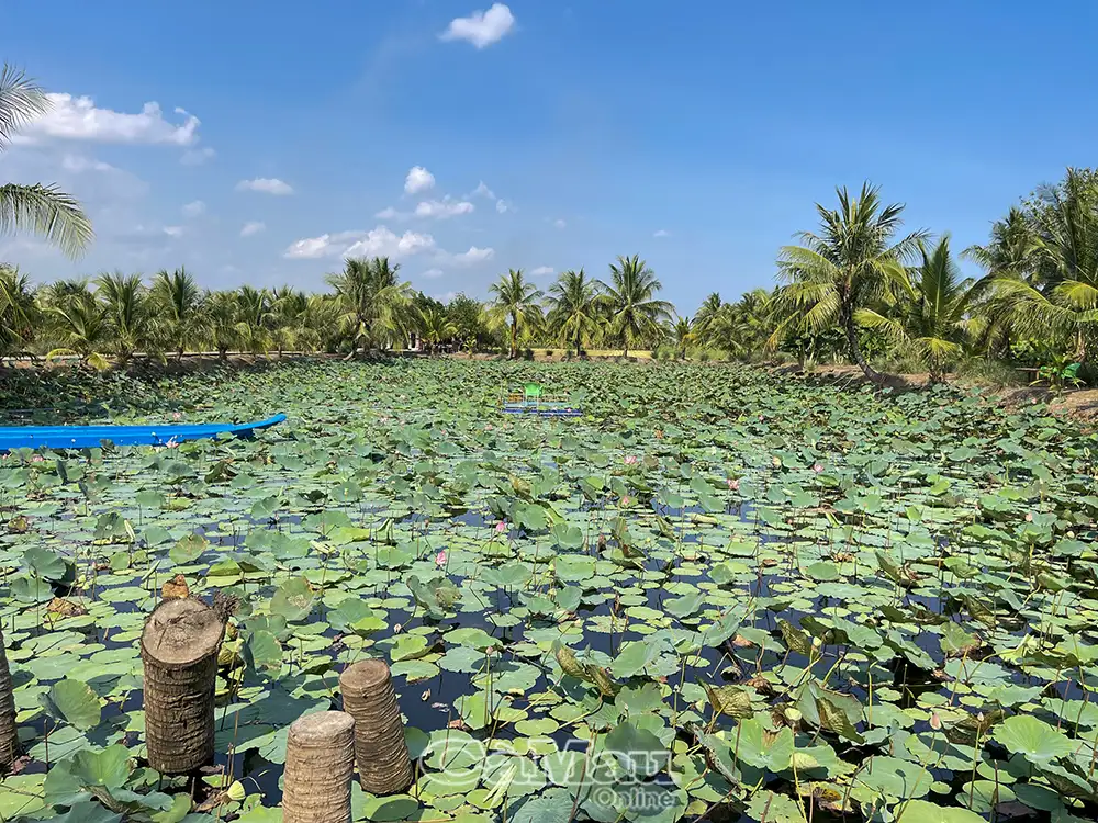 Tăng nguồn thu từ sản xuất đa canh