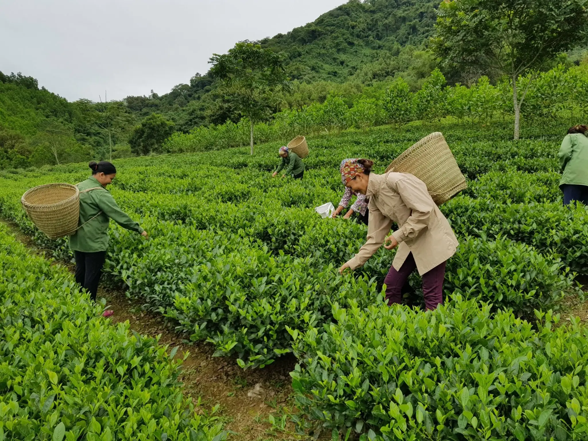 Thách thức trong thực hiện chương trình mục tiêu quốc gia