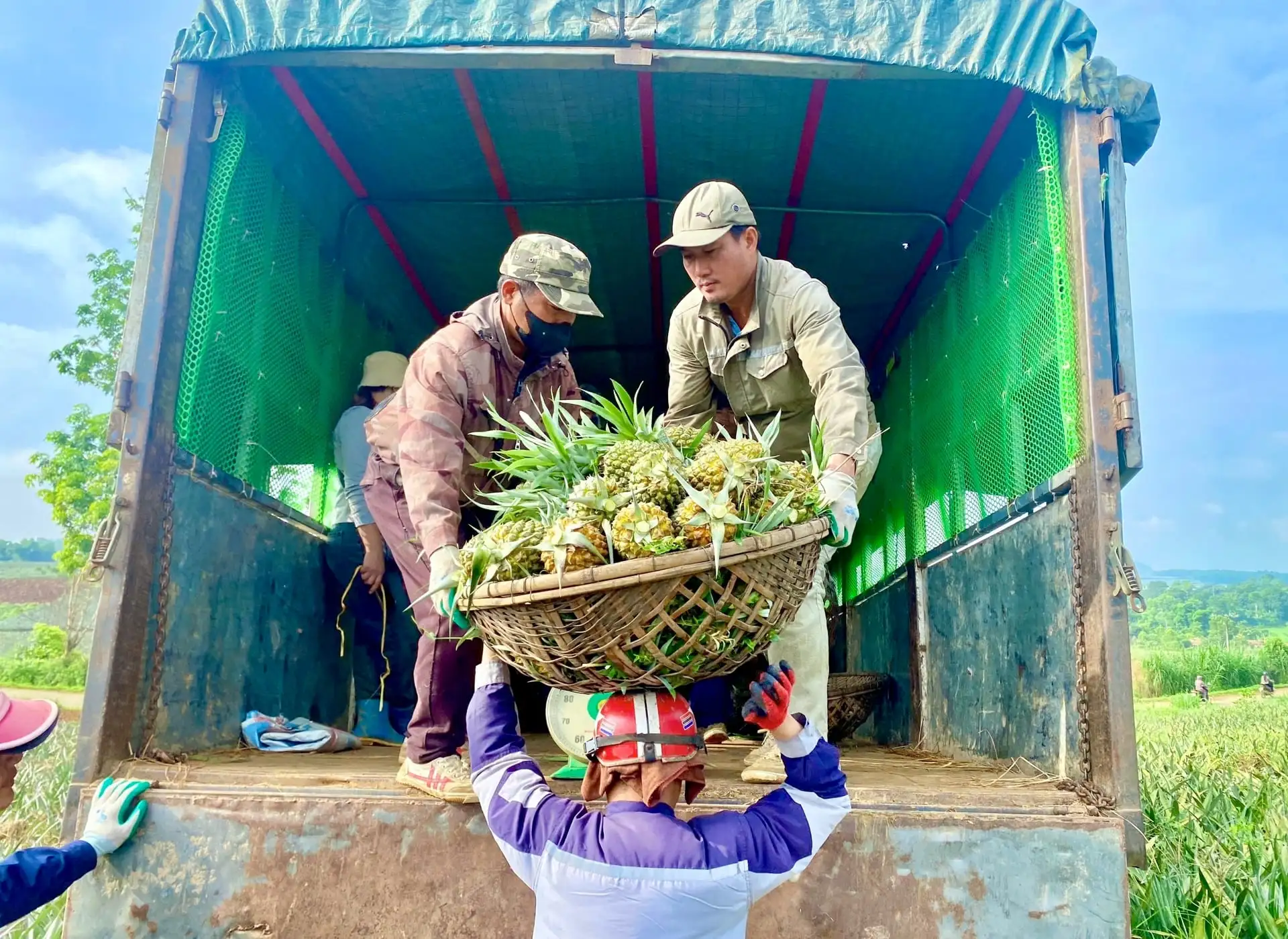 Thu nhập sát ngưỡng 70 triệu đồng/năm: “Đòn bẩy” giúp xã Ngọc Liên tăng tốc xây dựng nông thôn mới
