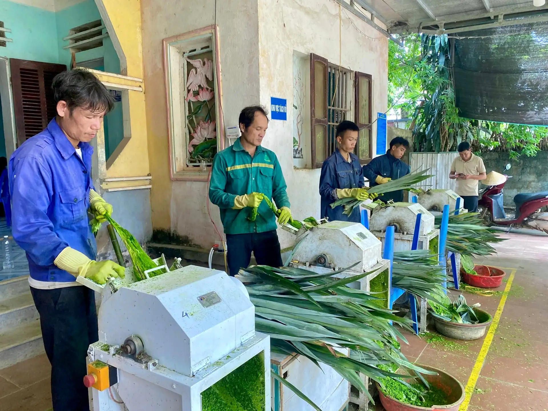 Thu nhập sát ngưỡng 70 triệu đồng/năm: “Đòn bẩy” giúp xã Ngọc Liên tăng tốc xây dựng nông thôn mới