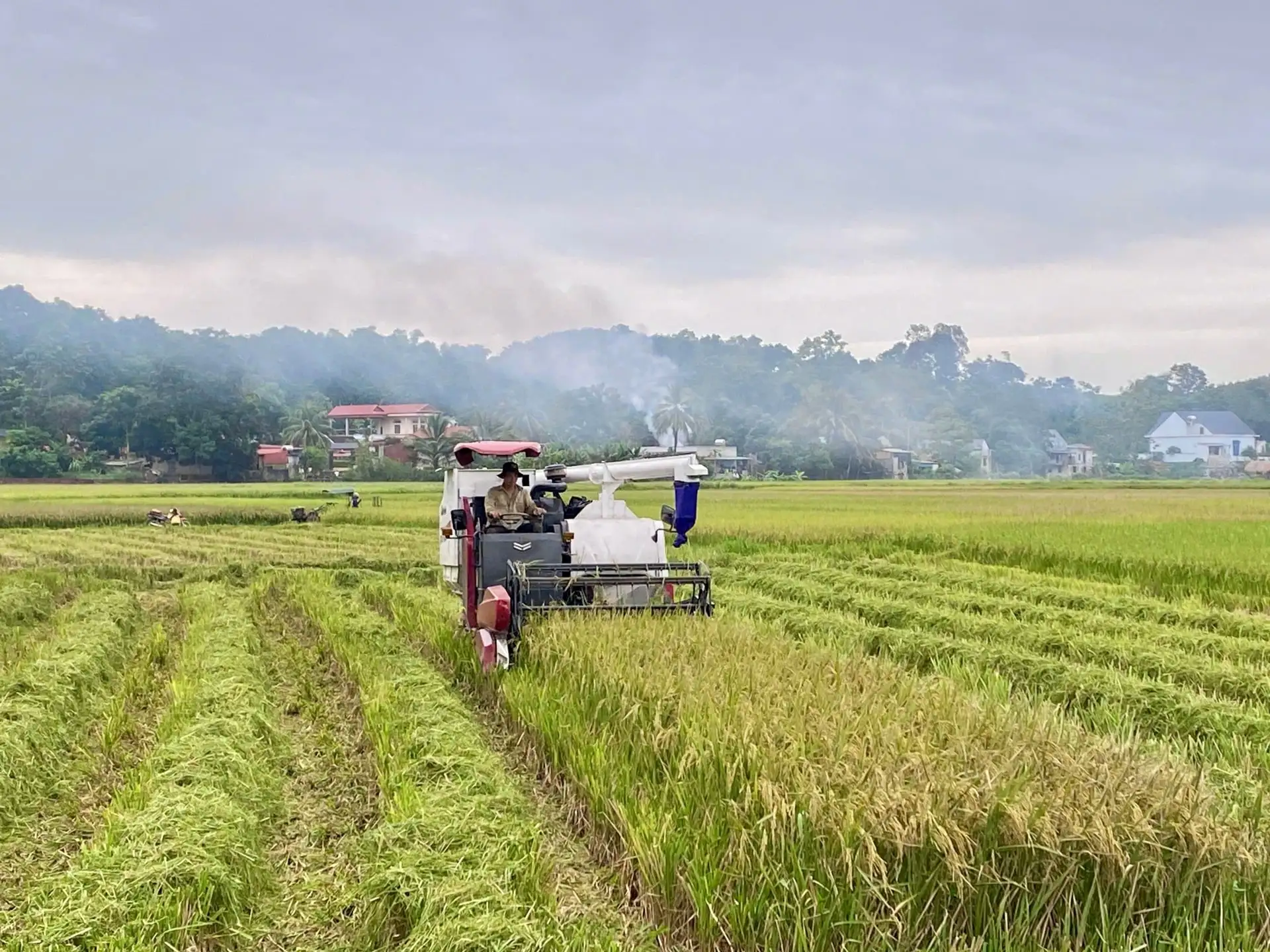 Thu nhập sát ngưỡng 70 triệu đồng/năm: “Đòn bẩy” giúp xã Ngọc Liên tăng tốc xây dựng nông thôn mới