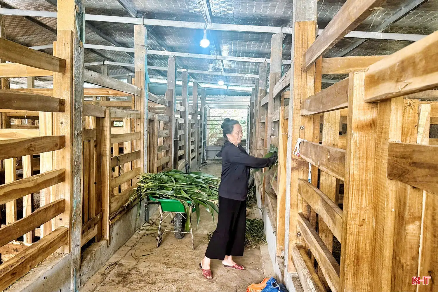 “Thủ phủ” hươu sao Hà Tĩnh làm gì để nâng tầm sản phẩm đặc trưng?