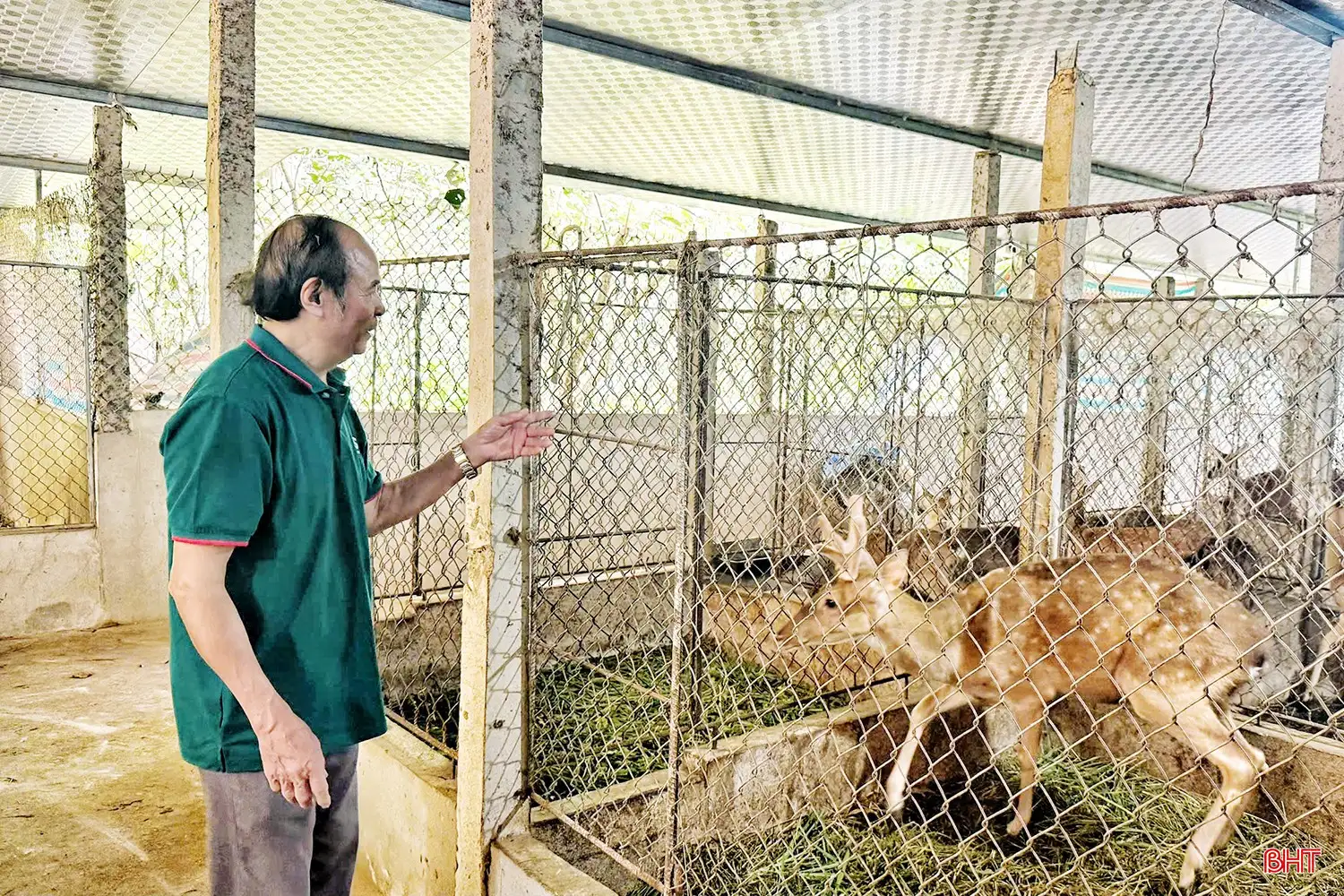 “Thủ phủ” hươu sao Hà Tĩnh làm gì để nâng tầm sản phẩm đặc trưng?