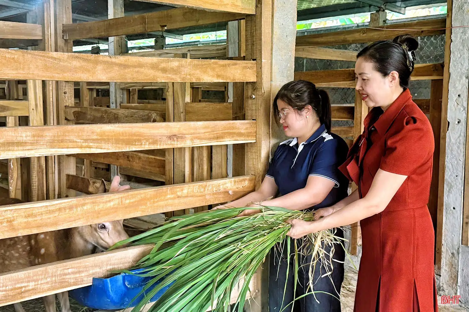 “Thủ phủ” hươu sao Hà Tĩnh làm gì để nâng tầm sản phẩm đặc trưng?