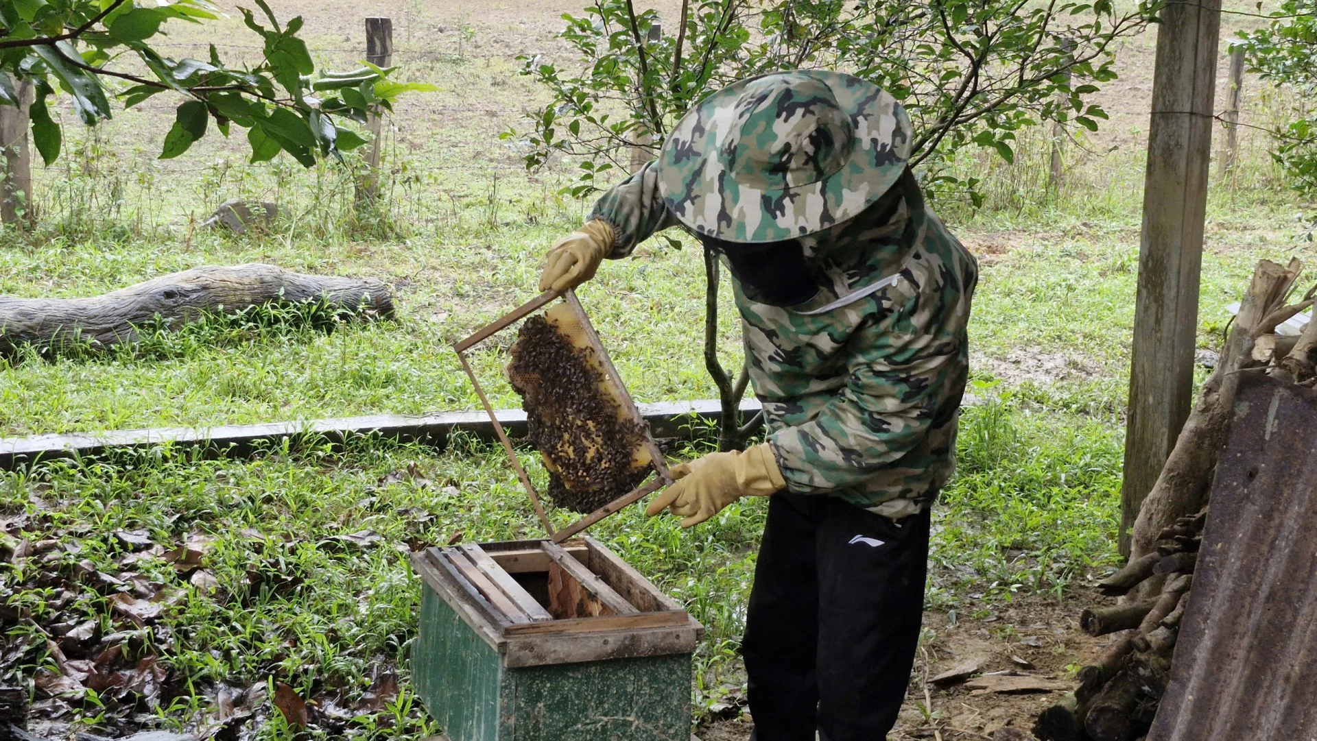Thúc đẩy sinh kế, giảm nghèo bền vững