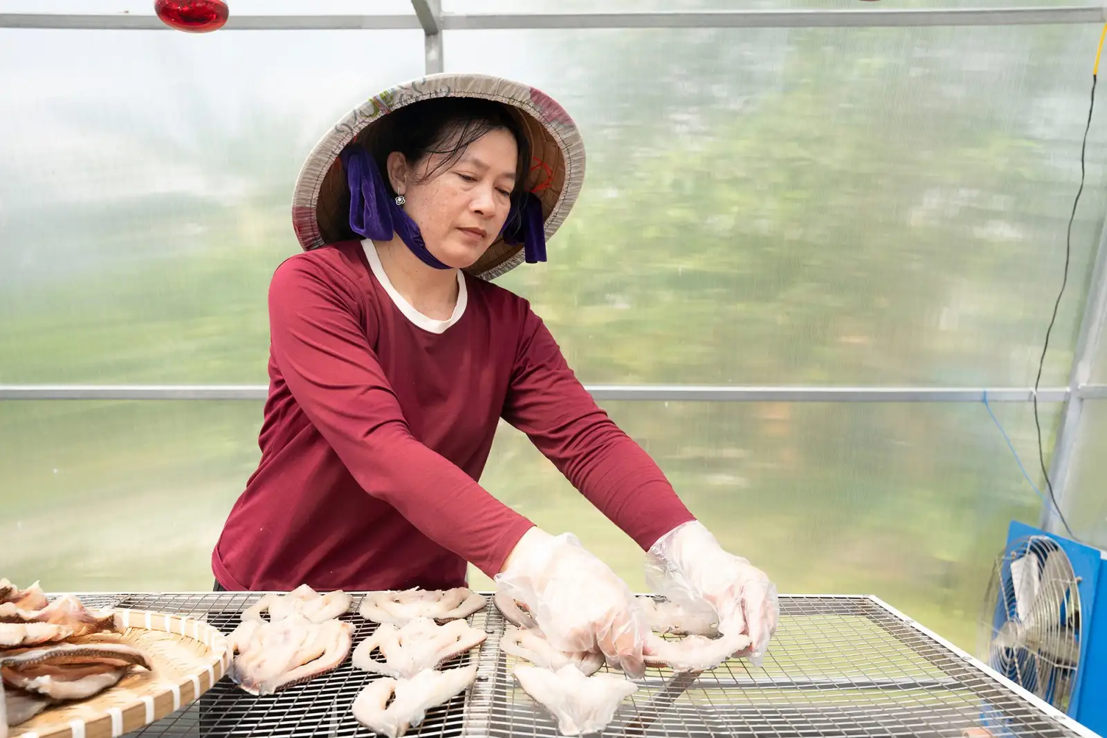 Tiềm năng OCOP ở Bình Hòa