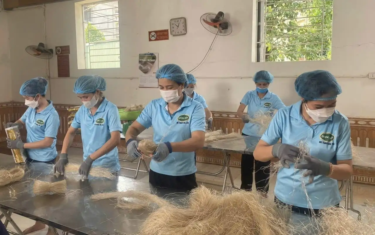 Tự hào nông sản Việt 2026: Hội tụ tinh hoa nông sản ba miền tại Hà Nội