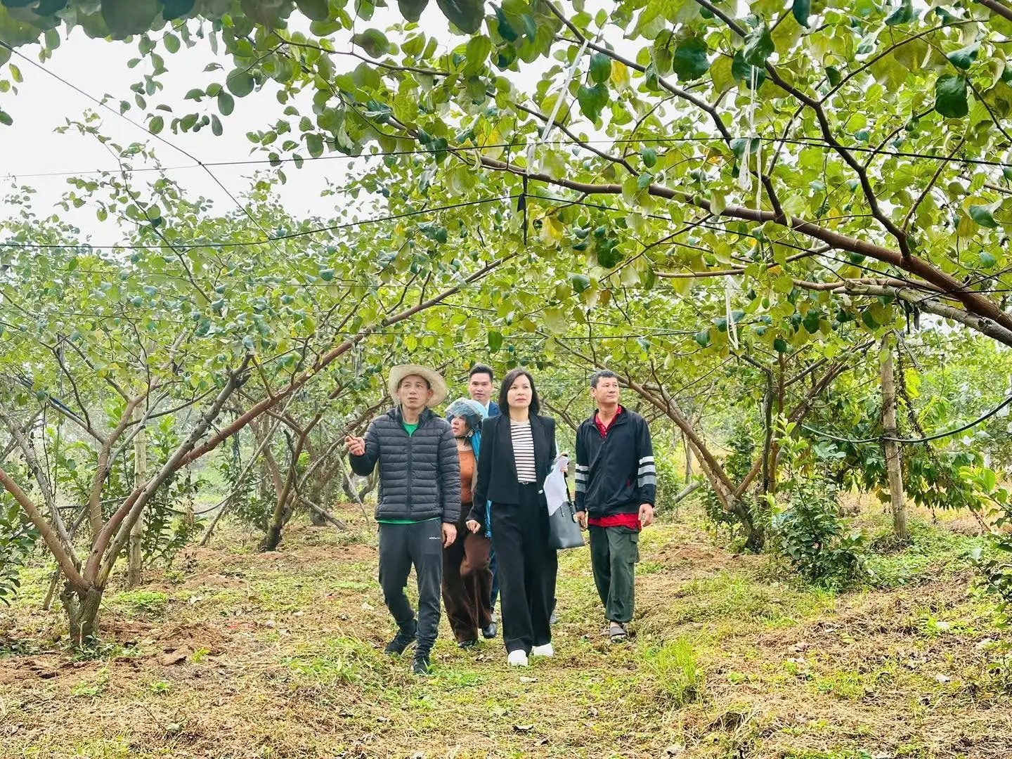 Xã Hoài Đức tái định vị điểm đến du lịch trong kỷ nguyên số