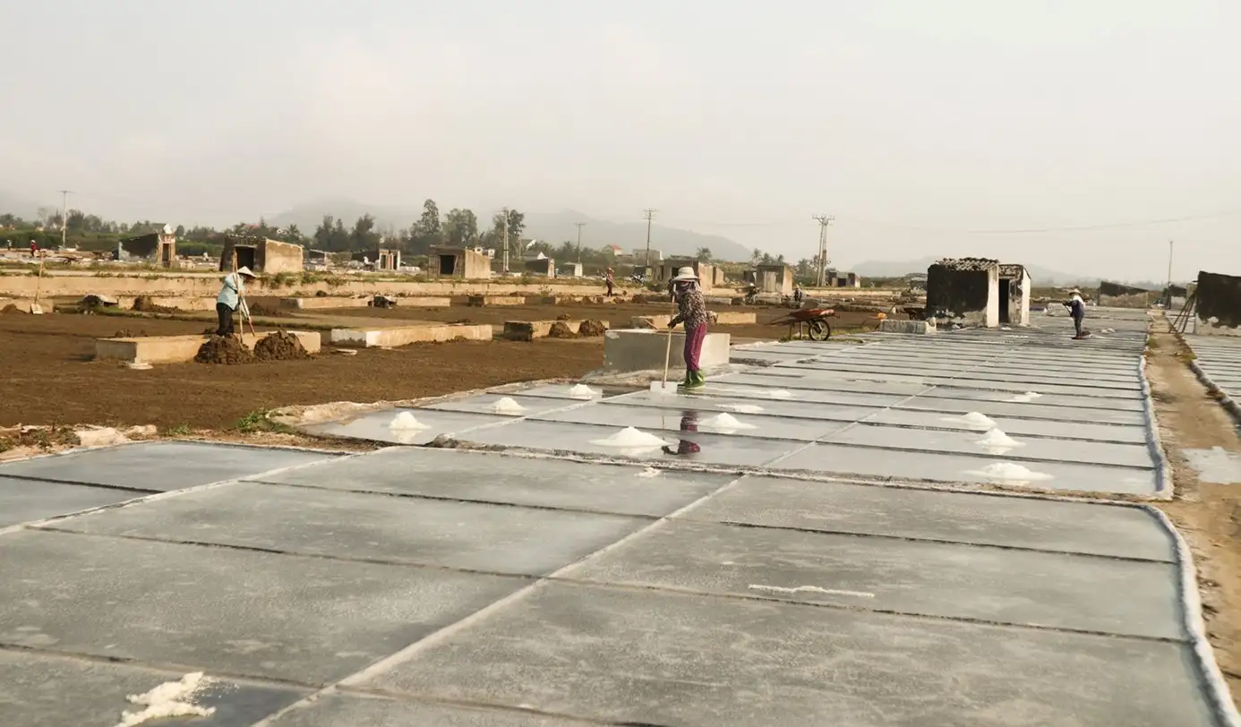 Phát triển sản phẩm OCOP từ các làng nghề muối ở Nghệ An