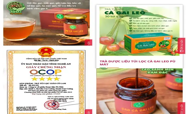 Công ty Cổ phần Dược liệu Pù Mát – Điểm sáng OCOP Nghệ An trong hành trình nâng tầm giá trị dược liệu bản địa