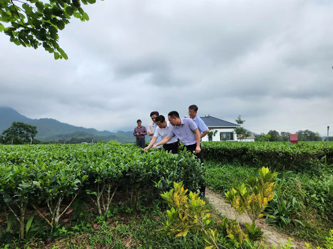 Tổ chức đoàn học tập, trao đổi kinh nghiệm về thực hiện Chương trình mục tiêu quốc gia xây dựng nông thôn mới