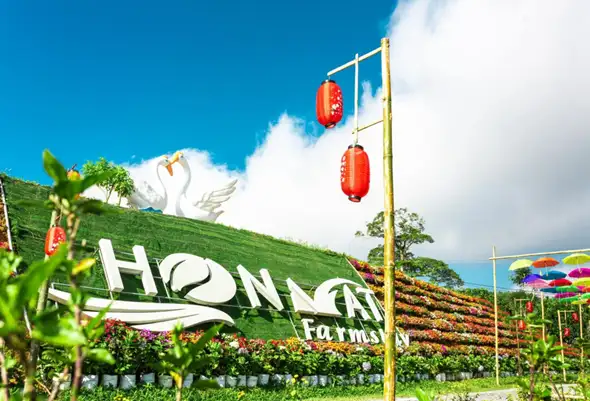 Phát triển sản phẩm OCOP gắn với du lịch nông thôn ở Nghệ An