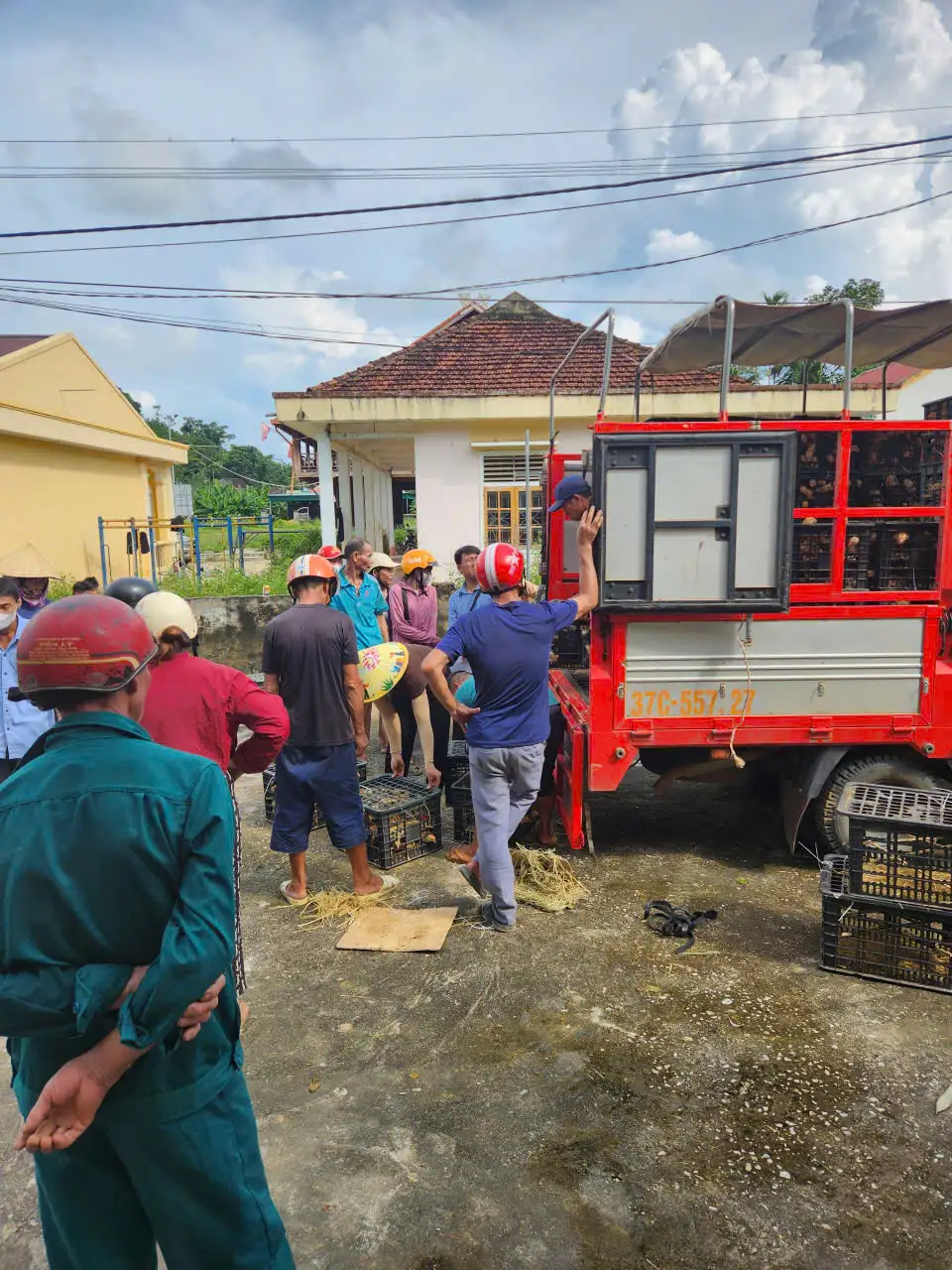 CẤP PHÁT CON GIỐNG GÀ ĐỊA PHƯƠNG VÀ THỨC ĂN CHO GÀ TẠI XÃ CHÂU TIẾN