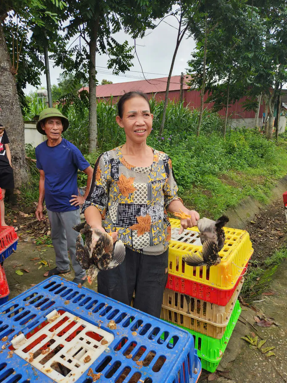 Thực hiện Kế hoạch liên kết phát triển sản xuất theo chuỗi giá trị tại xã Châu Tiến